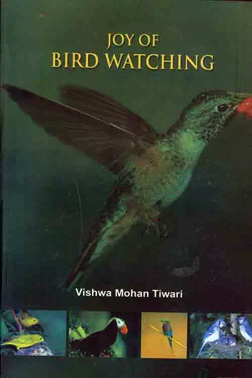 Joy of Bird Watching