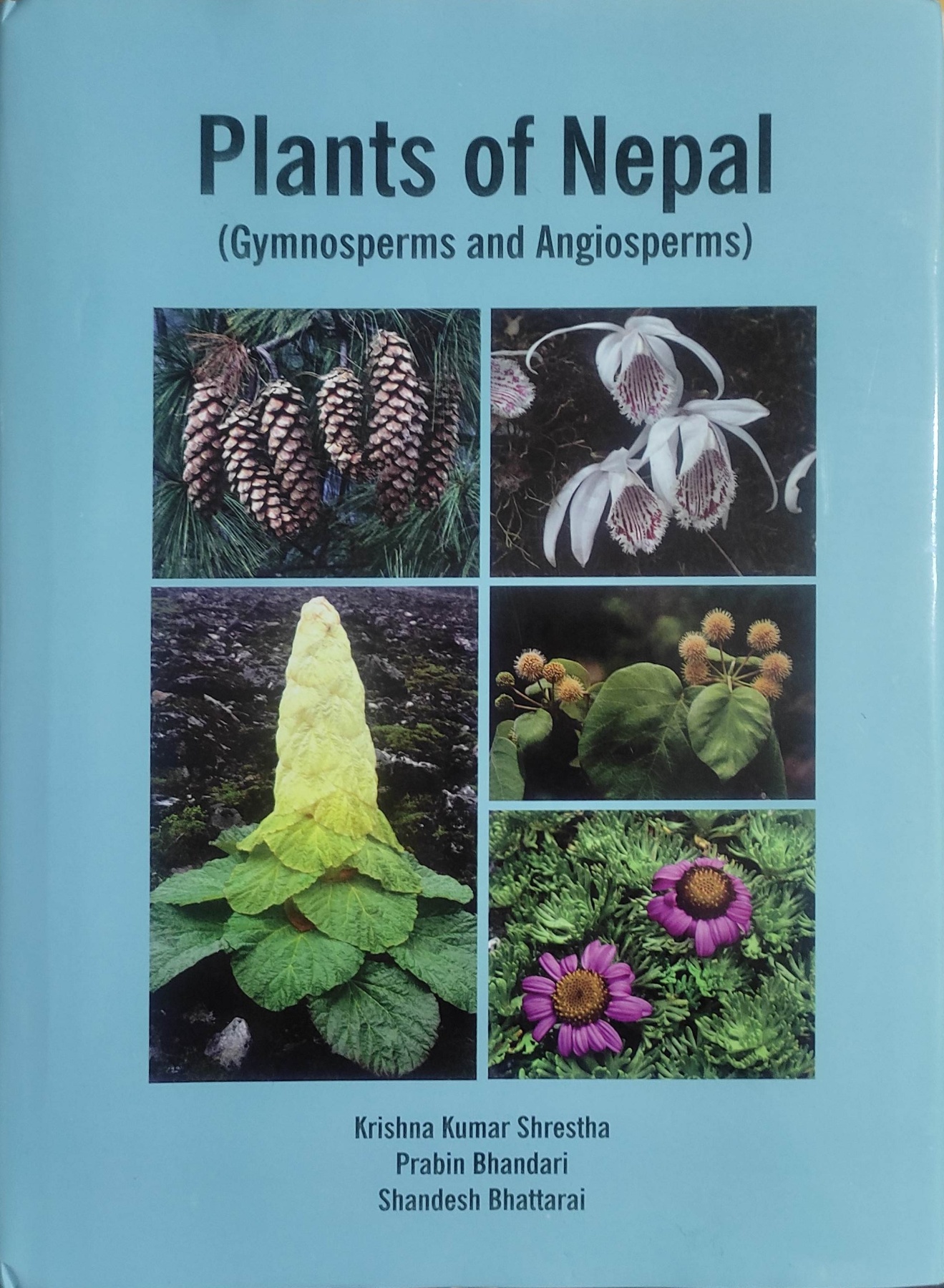 Plants of Nepal (Gymnosperms and Angiosperms)